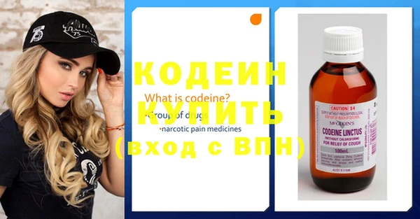 хмурый Арсеньев