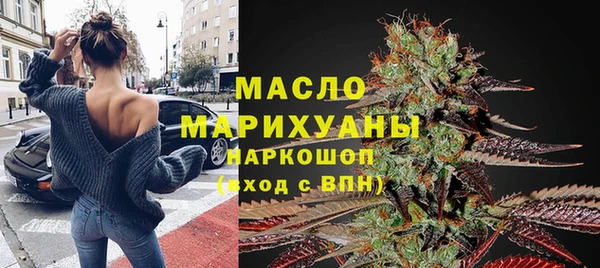 хмурый Арсеньев