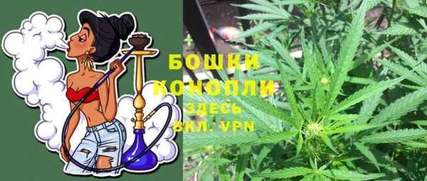 хмурый Арсеньев