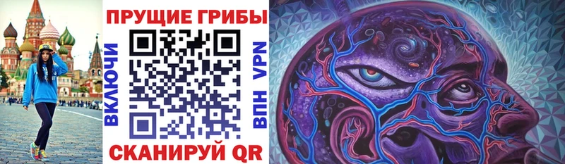 Галлюциногенные грибы Psilocybe  Льгов 